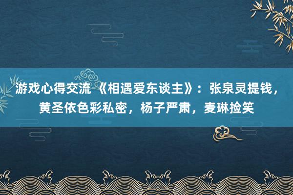 游戏心得交流 《相遇爱东谈主》：张泉灵提钱，黄圣依色彩私密，杨子严肃，麦琳捡笑