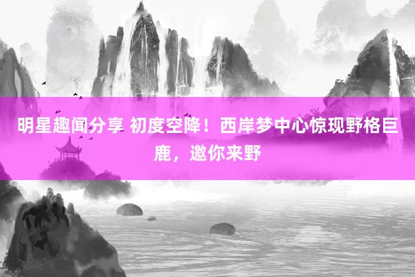 明星趣闻分享 初度空降！西岸梦中心惊现野格巨鹿，邀你来野