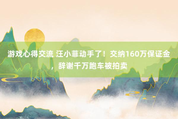 游戏心得交流 汪小菲动手了！交纳160万保证金，辞谢千万跑车被拍卖