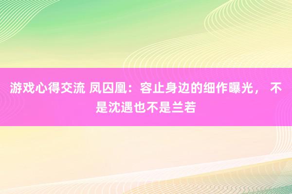 游戏心得交流 凤囚凰：容止身边的细作曝光， 不是沈遇也不是兰若