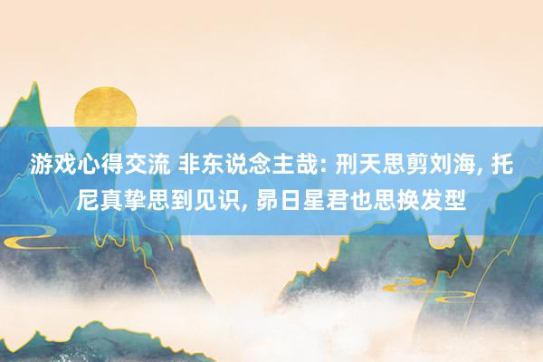 游戏心得交流 非东说念主哉: 刑天思剪刘海, 托尼真挚思到见识, 昴日星君也思换发型