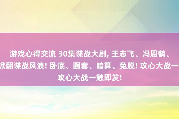 游戏心得交流 30集谍战大剧, 王志飞、冯恩鹤、张晞临掀翻谍战风浪! 卧底、圈套、暗算、兔脱! 攻心大战一触即发!